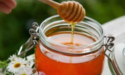 Как правильно заморозить мед?